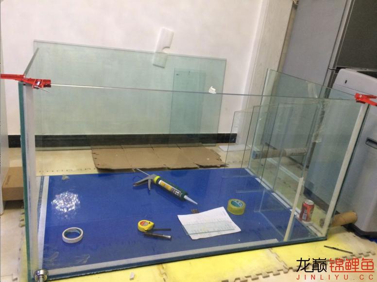 粘锦鲤地缸教程,鱼友锦鲤地缸