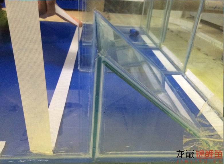 粘锦鲤地缸教程,鱼友锦鲤地缸