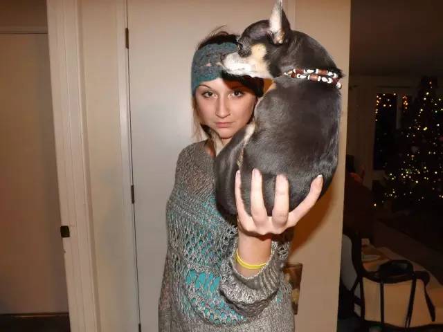 我家毛球最好抱了！不过该怎么抱？