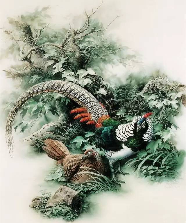 交谈12忌，说话聊天须注意！