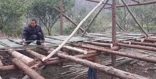 扶贫日记300字左右,扶贫日记100篇50字左右