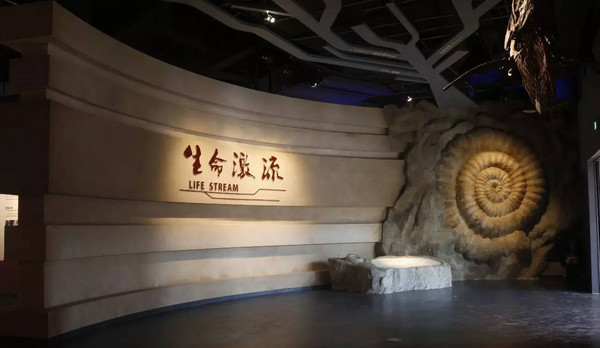 2022春天重庆周边亲子游玩的地方 (重庆周边亲子游2-3天冬季)