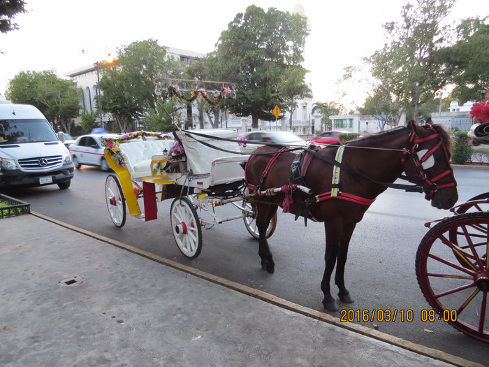 去巴西阿根廷秘鲁智利四国游,巴西阿根廷智利秘鲁地图