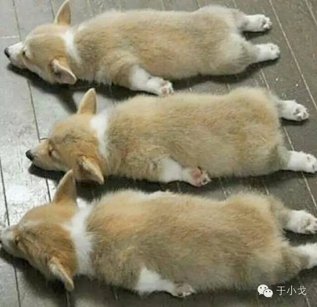 轻易离开你的朋友不值得深交,别怕一定会有不舍得丢下你的人