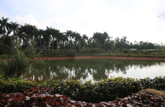 海南环岛骑行视频,海南环岛骑行驿站