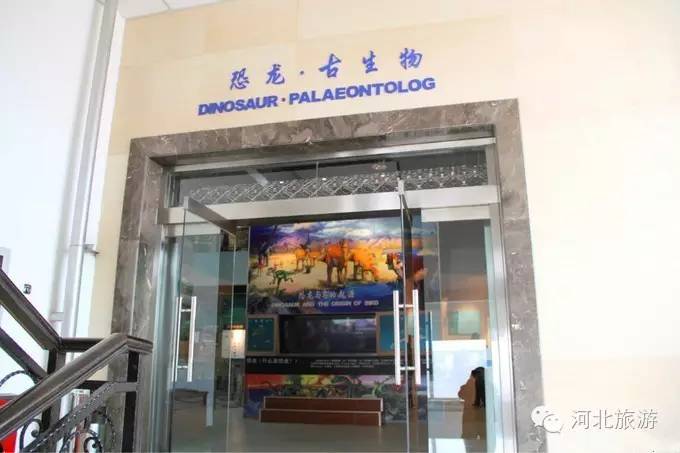 六一儿童节去哪里带孩子,六一去哪里带小朋友玩