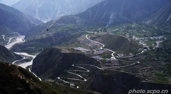 以樱桃为主题的名字,以樱桃的名义约会