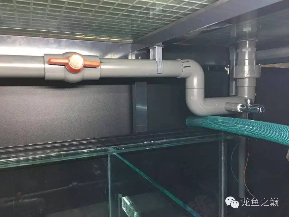 超级白，超会做，这才叫养鱼！