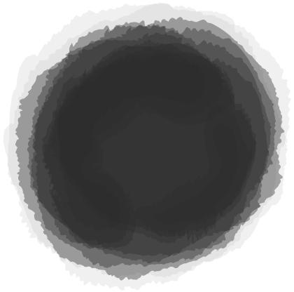 会存在小白虫的水果都有哪些,什么水果里面有小白虫