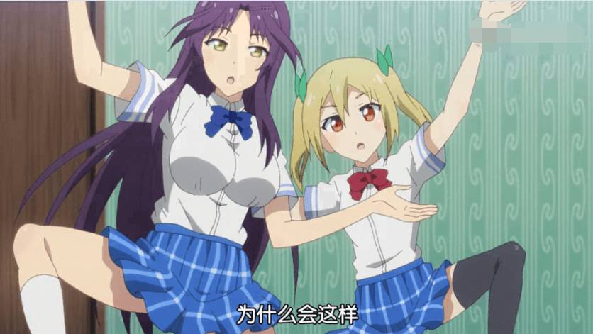 布丁动漫一周年合集,布丁动画的基本资料