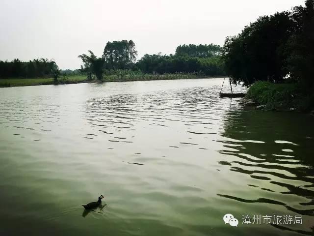 杭州西溪生态公园,西溪郊野公园好玩吗