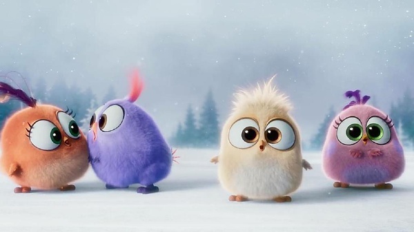 愤怒的小鸟海报手绘,愤怒的小鸟宣传海报