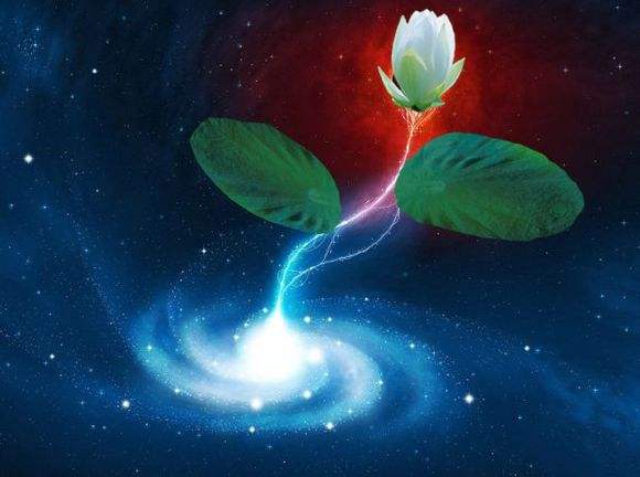 遮天前十战力排行,遮天10大战力排行