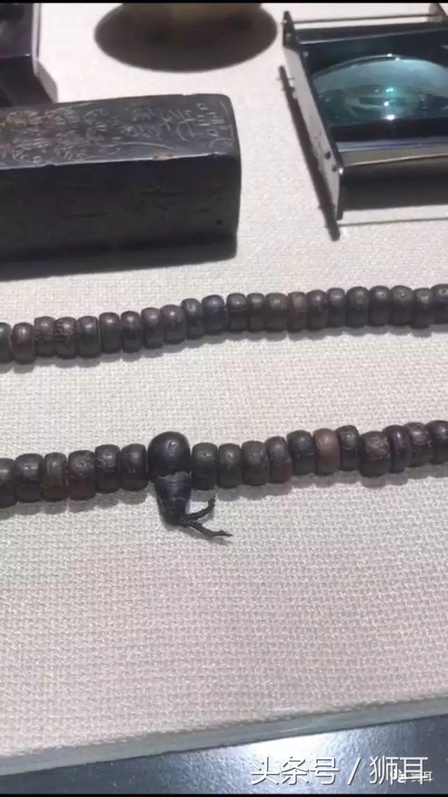 今年凤眼菩提价格,2022年凤眼价格会跌吗