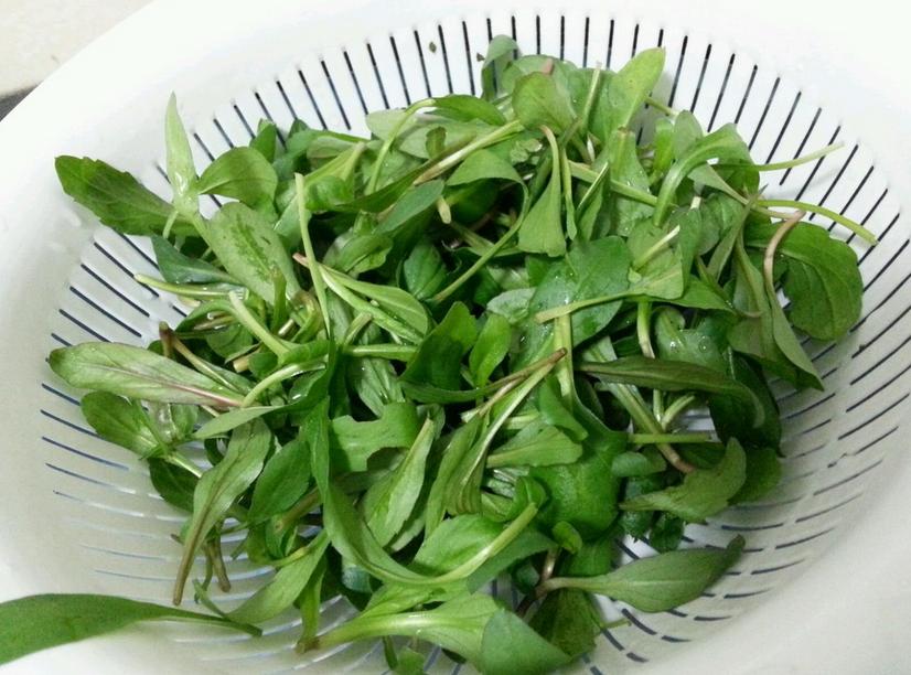 与高血压有关野菜,哪些野菜可以降高血压