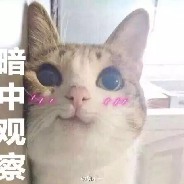 不用花钱就可以买到的东西,不用花钱就能买到的东西