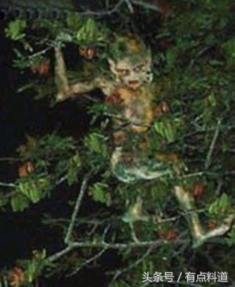 十大诡异鬼魂照片,世界上真的有鬼吗30张鬼图