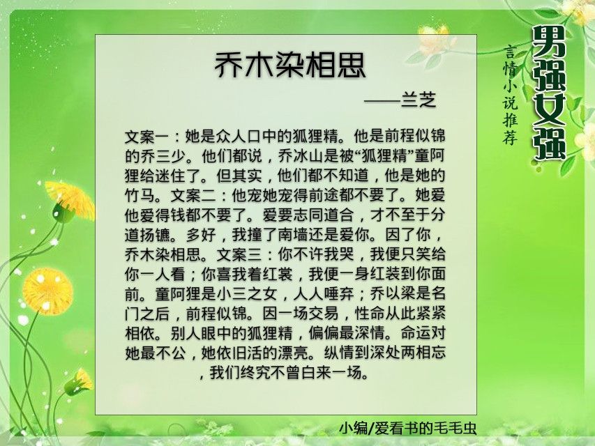 5本高质量双男主好文推荐,5本高质量男强女强现代文