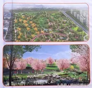 为什么柳州那么多人卖房,为什么要在南宁买房