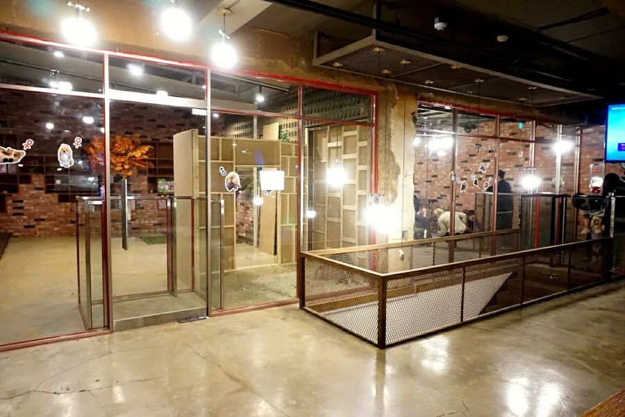 就连文艺女青年也找不到的史诗级咖啡店，因为它们真的藏在角落里