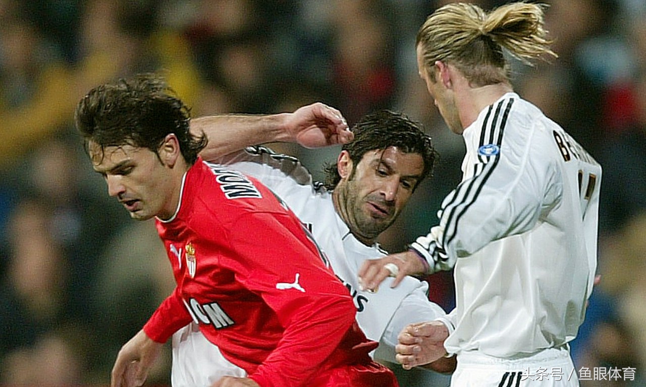 黑马纵横四海,黑马纵横