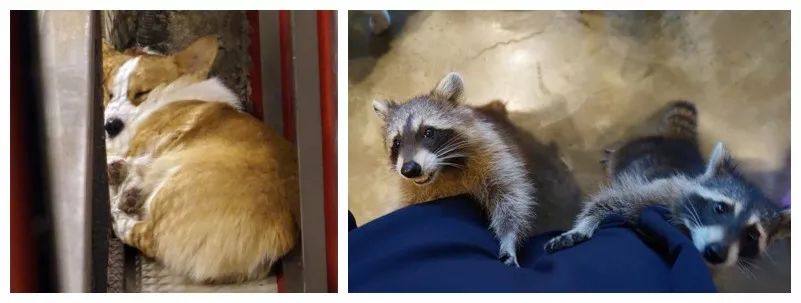 就连文艺女青年也找不到的史诗级咖啡店，因为它们真的藏在角落里