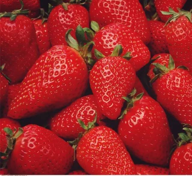 瓜果蔬菜简笔画大全最简单漂亮,儿童简笔画水果5-7岁简单入门