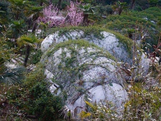 温州三八节免费景点,三八节好玩的地方温州