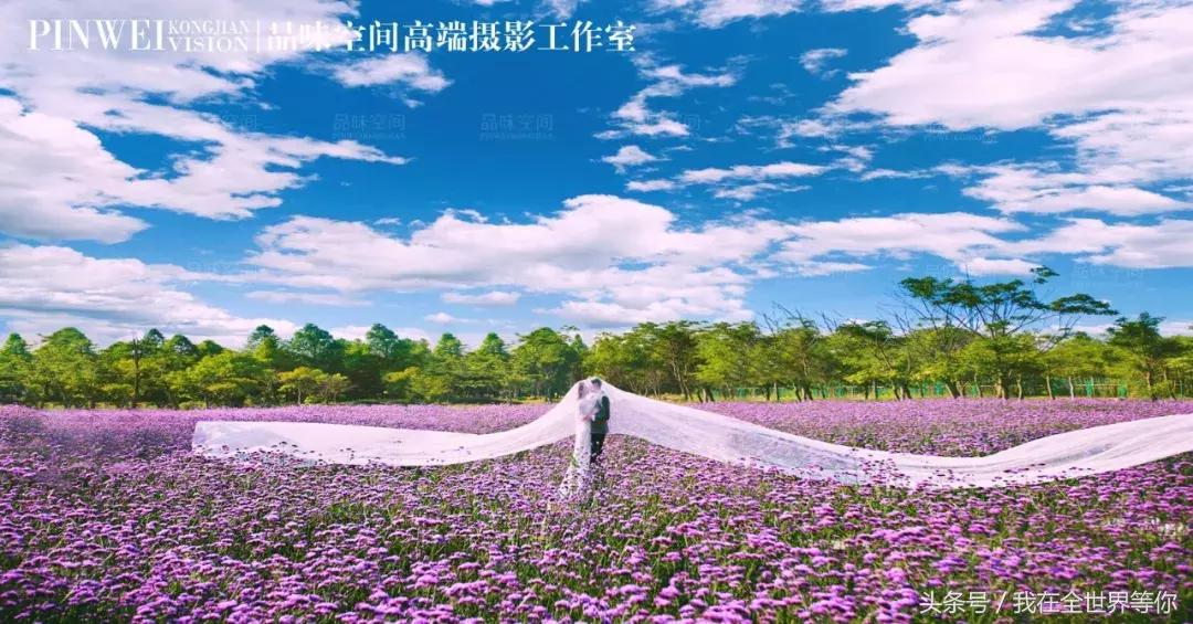 拍婚纱照适合的头发颜色,婚纱照5套衣服该怎么选风格