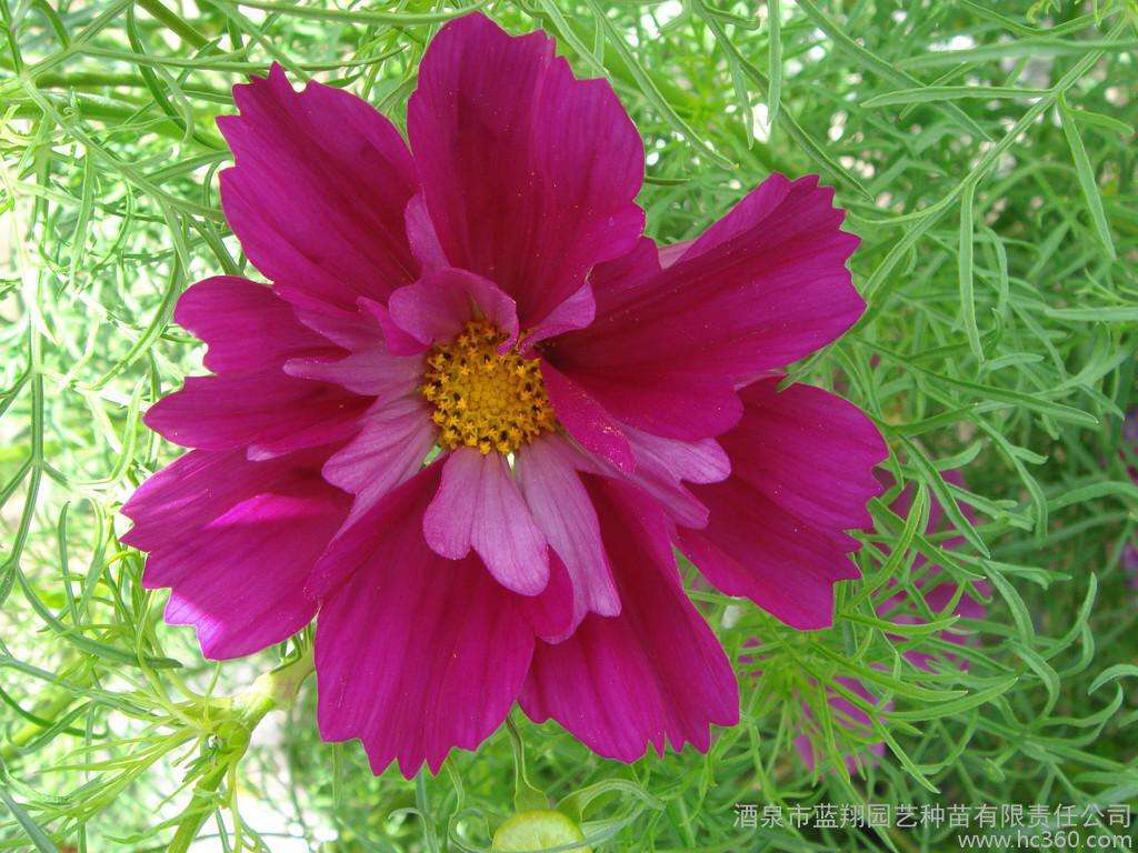 经量少多怎么办,经量太少该吃什么调理