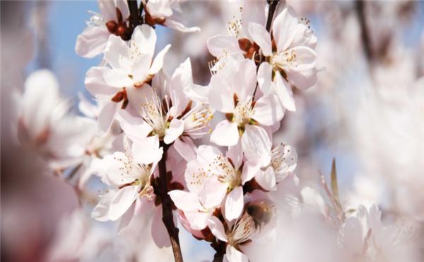 天津一日游必去的5个景点,天津2024年学生春游地点