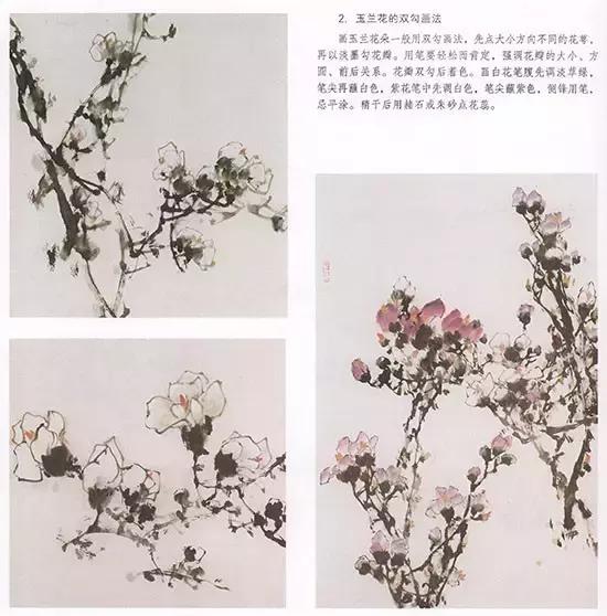 国画小写意玉兰花作品,国画玉兰花谁画的最好