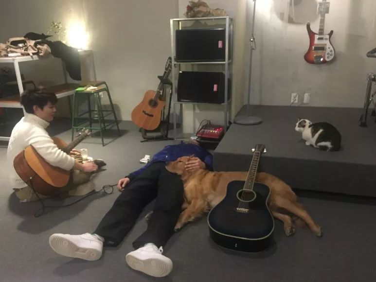 就连文艺女青年也找不到的史诗级咖啡店，因为它们真的藏在角落里