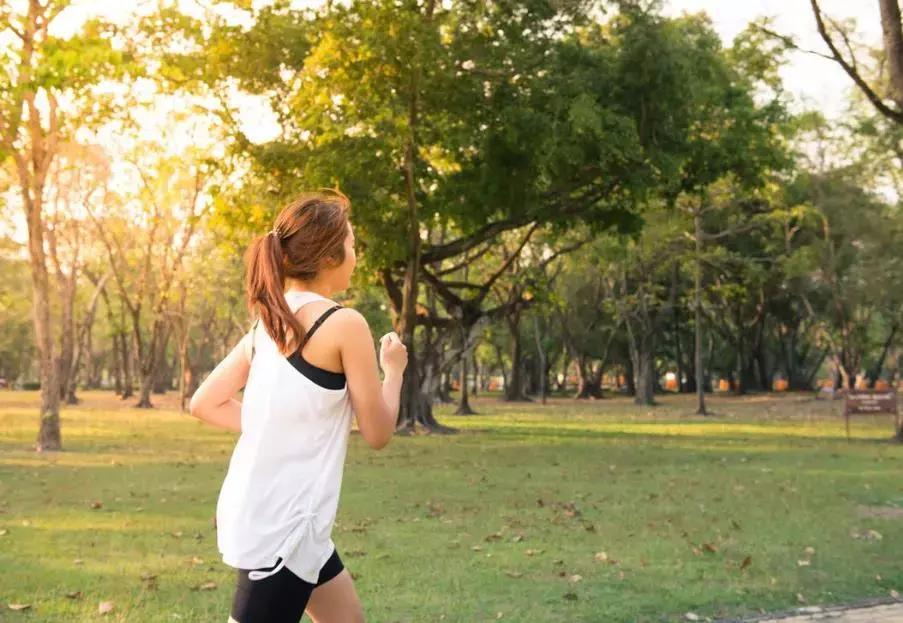 文艺创业项目,成都年轻人创业项目排行榜