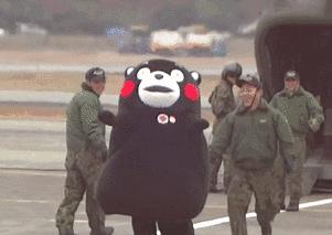 郑州租房价格的变化趋势,一室一厅租房500元郑州中原区