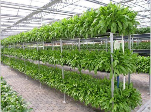 农业创业成功或失败的经验总结,传统农业创业模式有哪些