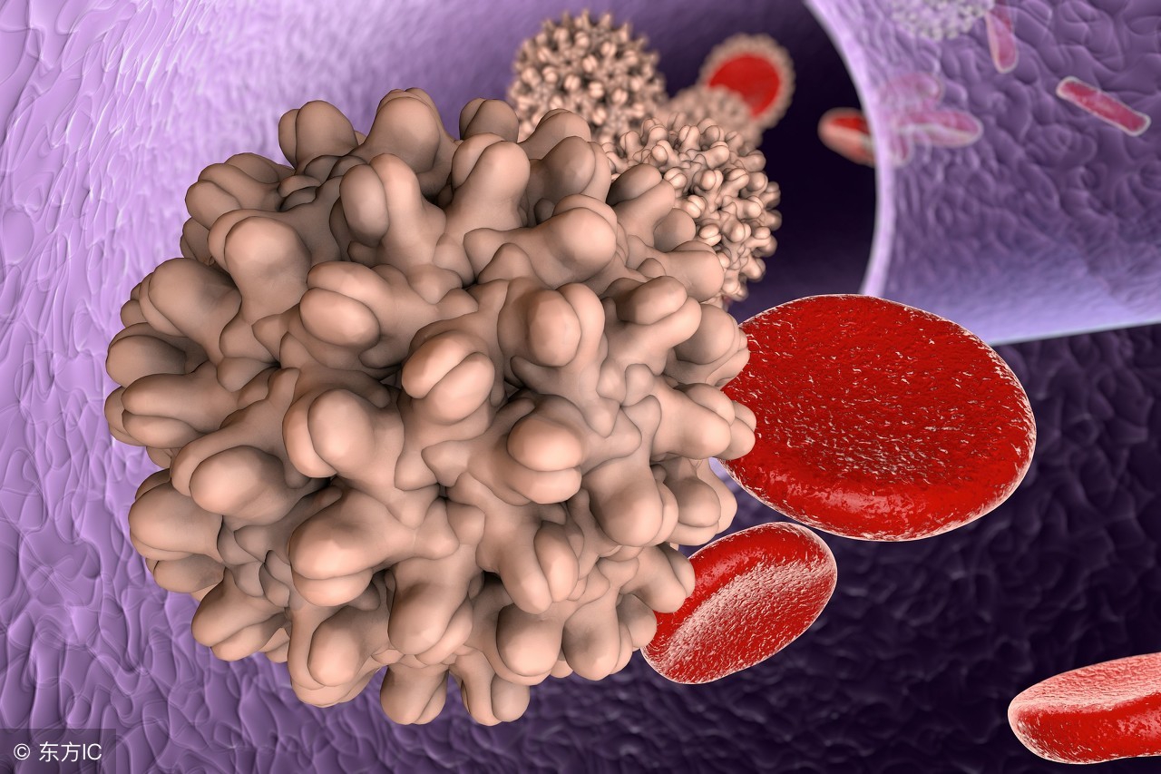 乙肝患者的生活有什么禁忌,乙肝病人的禁忌的蔬菜