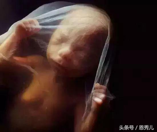 摄影大师花费10年,用镜头记录精子与卵子结合并发育成长的过程!