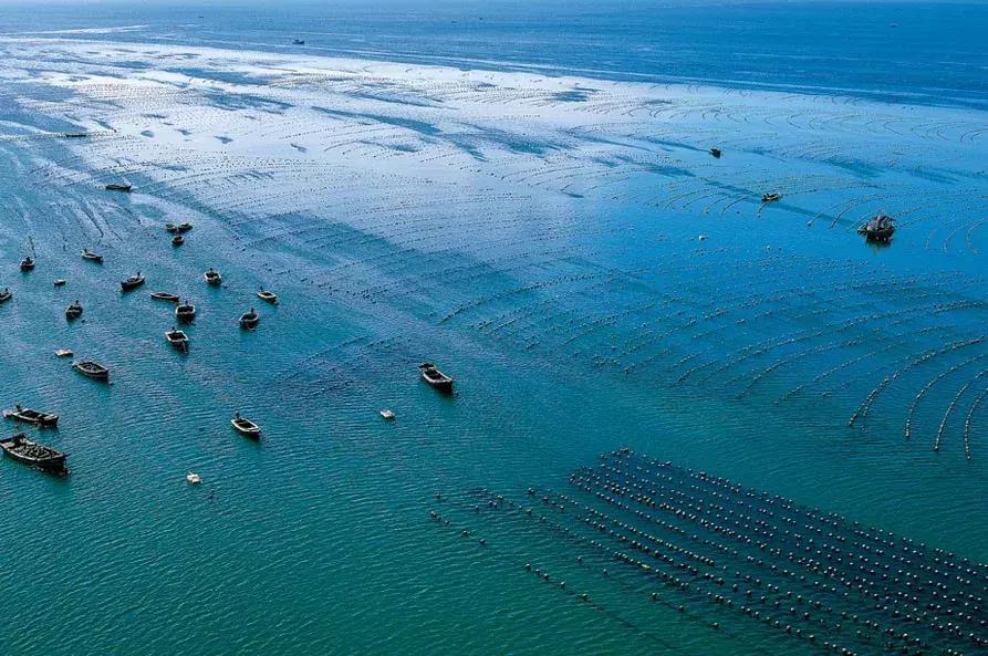 这个有用！外地朋友来大连就用这条微信带他们玩挺全的！