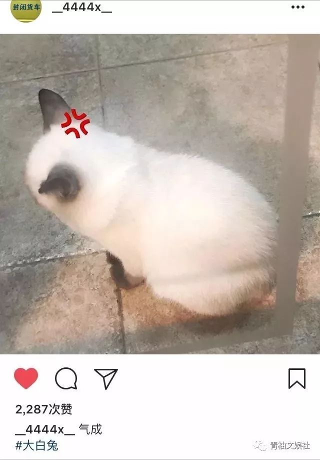 易烊千玺00后领头,易烊千玺00后大佬