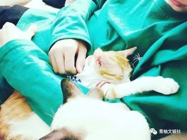 易烊千玺00后领头,易烊千玺00后大佬