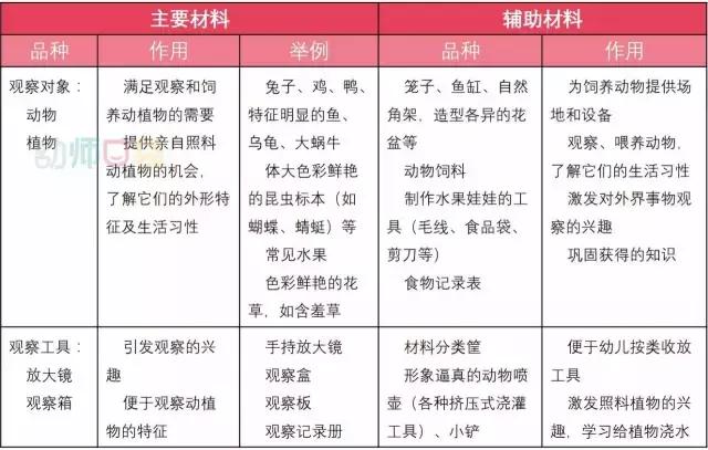 幼儿园春天植物角摆台,幼儿园植物角创意布置图片大全集