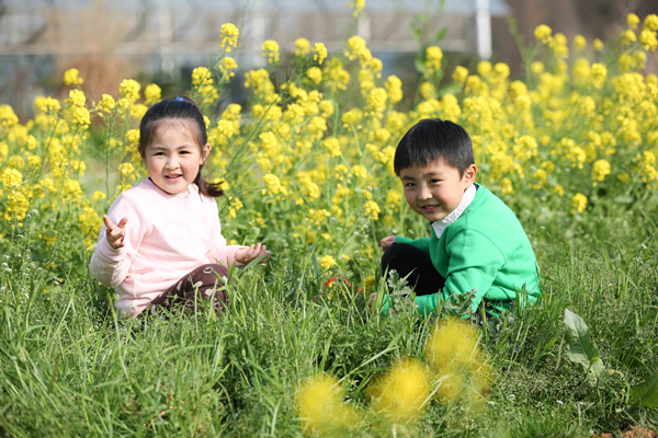 植树节主题升旗仪式活动方案,企业植树节活动创意活动方案