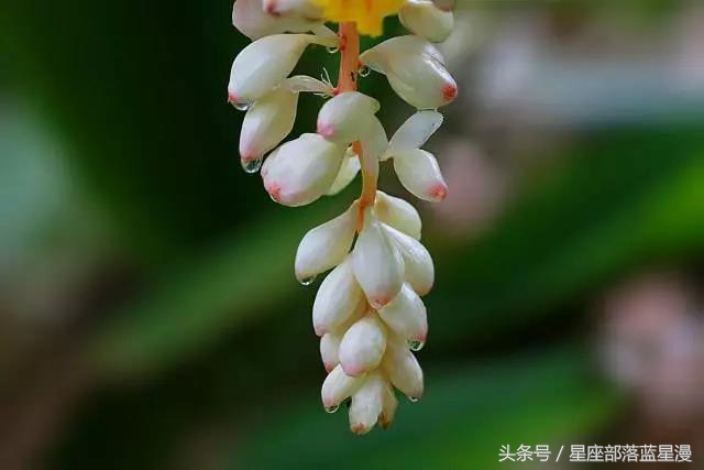 星爱女人|节日如何呵护自己？来场女神的内衣与香氛之约