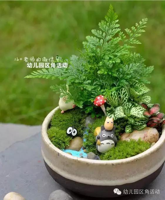 幼儿园春天植物角摆台,幼儿园植物角创意布置图片大全集