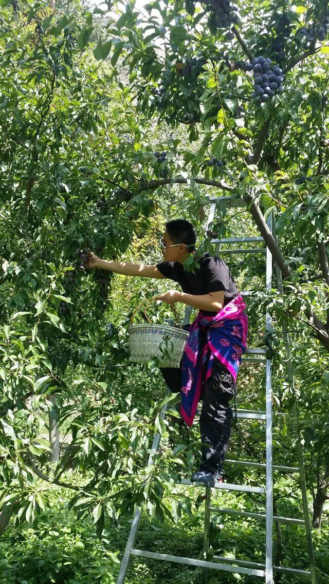 她说:成都,是成都人的形容词。