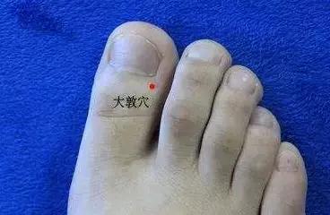 肝火旺喝什么茶养肝护肝,养肝护肝去肝火喝什么茶最好