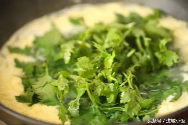 现在的季节有哪些野菜可以吃,又到了吃野菜的季节你认识野菜不