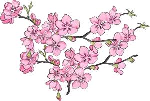 合肥周边自驾游一日游景点大全,合肥到六安一日游最佳去处深秋