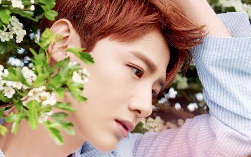 说好的喉结控:白敬亭温柔鹿晗深沉,让*欲人**罢不能的却是他